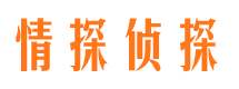 临沂市私人调查